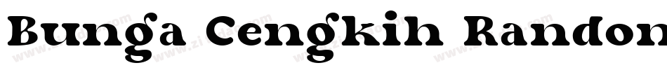 Bunga Cengkih Random字体转换